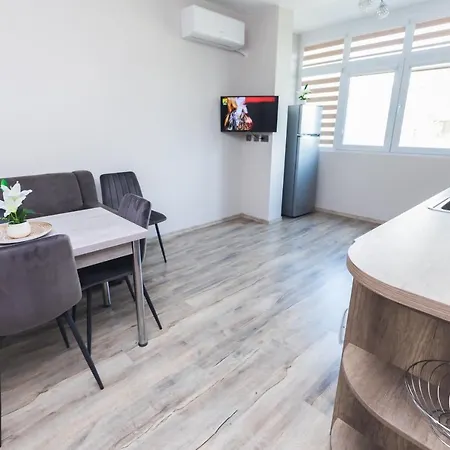 за гости боряна بورغاس