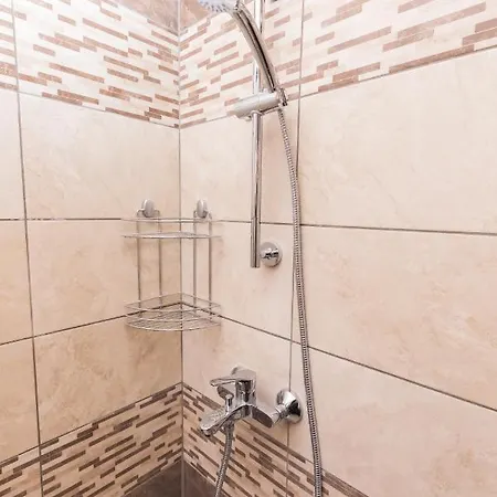 за гости боряна بورغاس