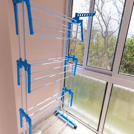 за гости боряна * بورغاس