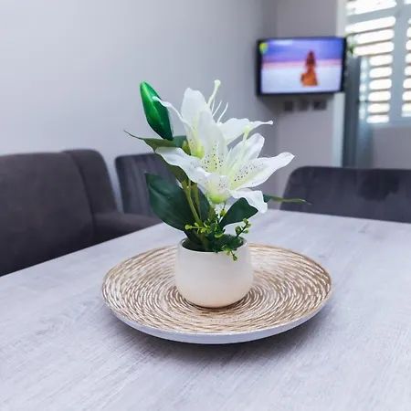 за гости боряна شقة بورغاس