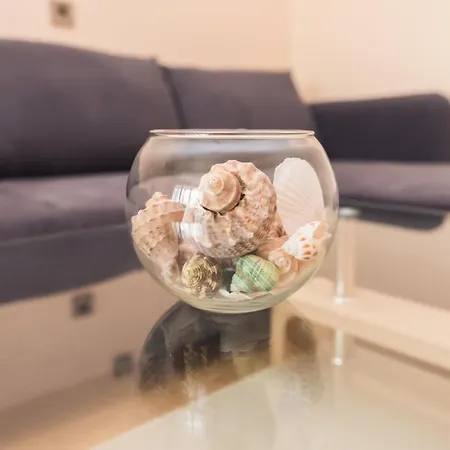 за гости боряна شقة